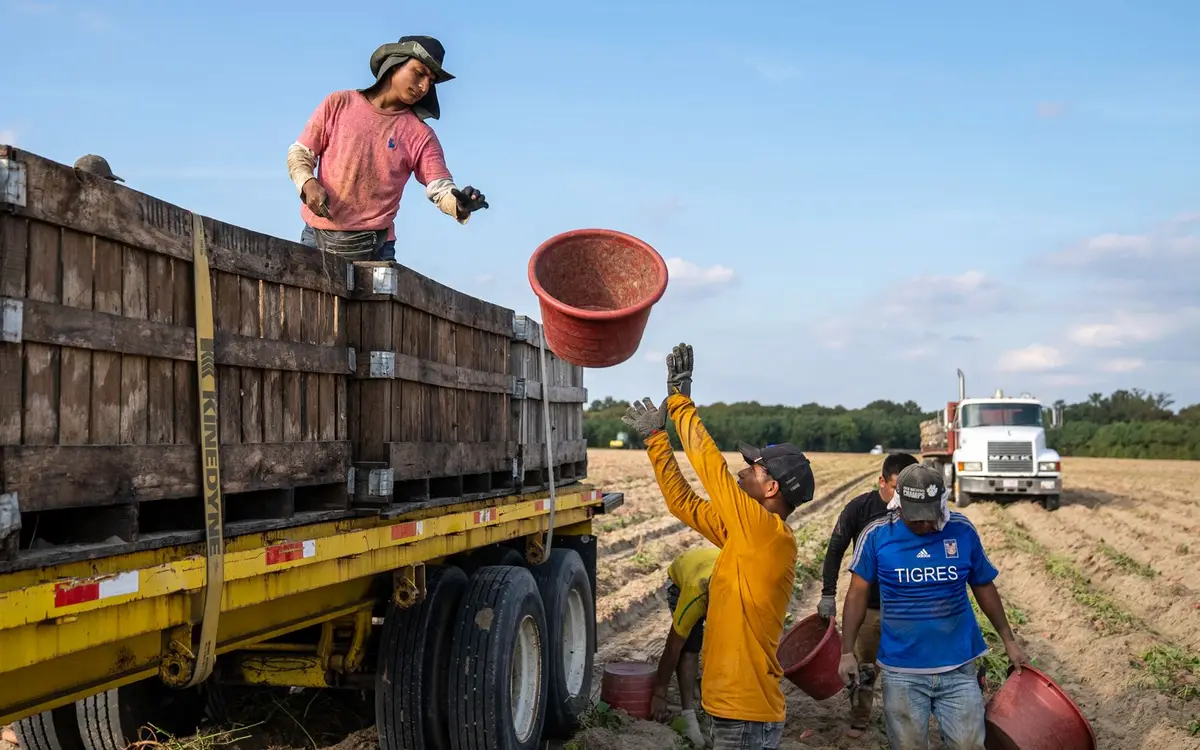 Travaux saisonniers dans une exploitation agricole